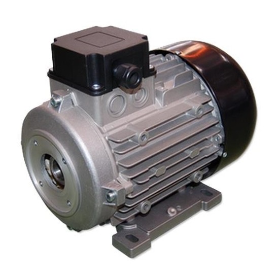 MOTOR 2 CV E/H 3-230/400V 1.450 RPM Ø.24 mm 90L